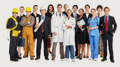 პროფესიების სისტემატიზაცია