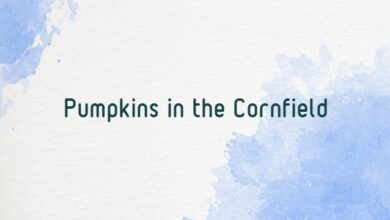 Pumpkins in the Cornfield