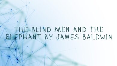 The Blind Men and the Elephant by James Baldwin