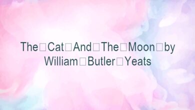 The Cat And The Moon by William Butler Yeats