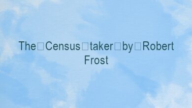 The Census-taker by Robert Frost