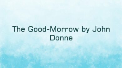 The Good-Morrow by John Donne