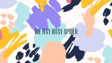 The Itsy Bitsy Spider