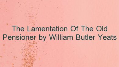 The Lamentation Of The Old Pensioner by William Butler Yeats
