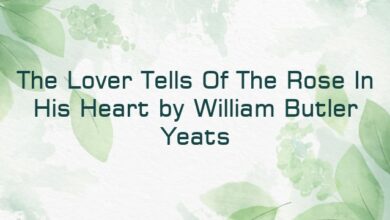 The Lover Tells Of The Rose In His Heart by William Butler Yeats