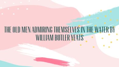 The Old Men Admiring Themselves In The Water by William Butler Yeats