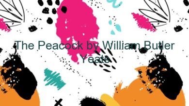 The Peacock by William Butler Yeats