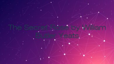 The Secret Rose by William Butler Yeats
