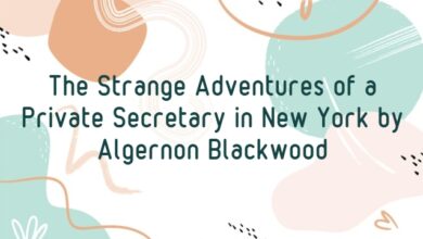 The Strange Adventures of a Private Secretary in New York by Algernon Blackwood