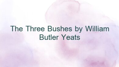 The Three Bushes by William Butler Yeats