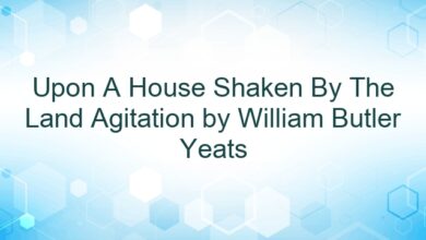 Upon A House Shaken By The Land Agitation by William Butler Yeats