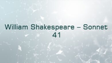 William Shakespeare – Sonnet 41