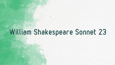 William Shakespeare Sonnet 23