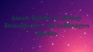 ბაიარ შაჰინი & არჩილ შოთაშვილი – რა სამშობლო მქონია