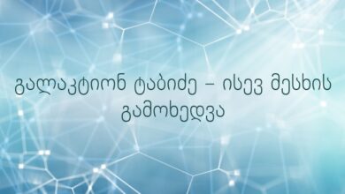 გალაკტიონ ტაბიძე – ისევ მესხის გამოხედვა