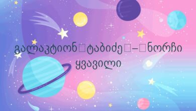 გალაკტიონ ტაბიძე – ნორჩი ყვავილი