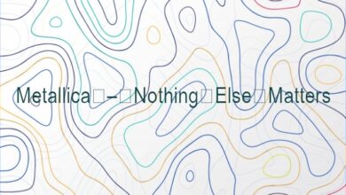 Metallica – Nothing Else Matters