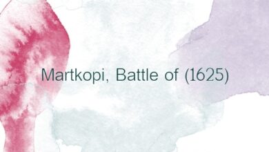 Martkopi, Battle of (1625)