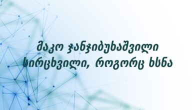 მაკო ჯანჯიბუხაშვილი სირცხვილი, როგორც ხსნა