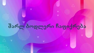 შარლ ბოდლერი ჩაფიქრება