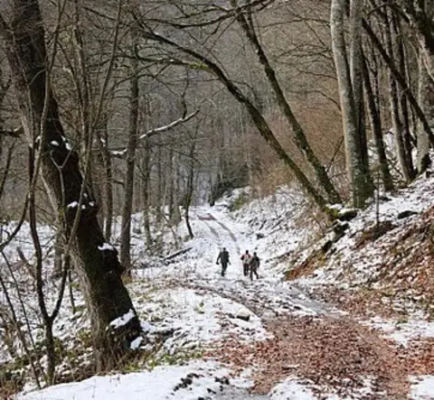 Skas, On hunting, Russian Federation, 2015