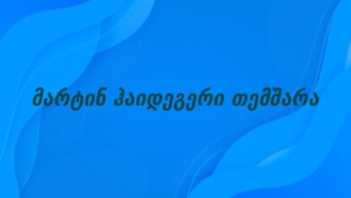 მარტინ ჰაიდეგერი თემშარა